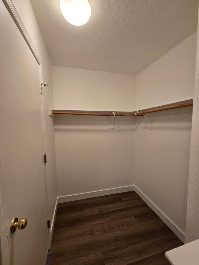 Building Photo - A Fabulous 5 Bedroom Home with 1 Bedroom and 3/4 Bathroom downstairs