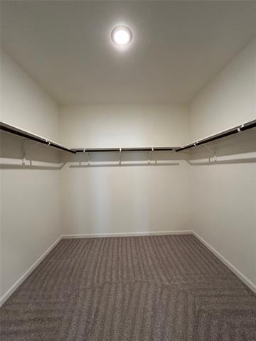 Building Photo - 10329 Burnfoot Ln