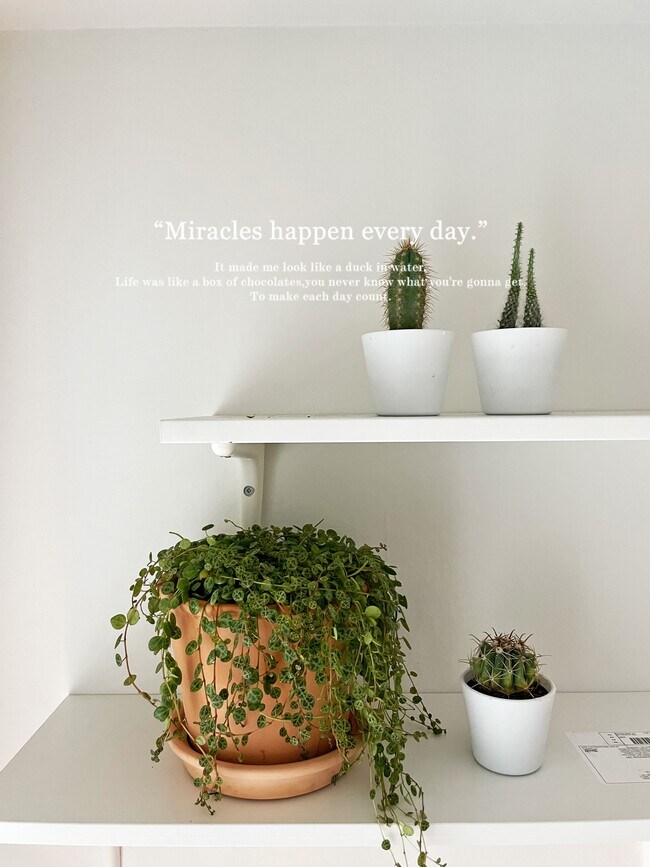 kitchen shelves. - 7718 Royal Ln