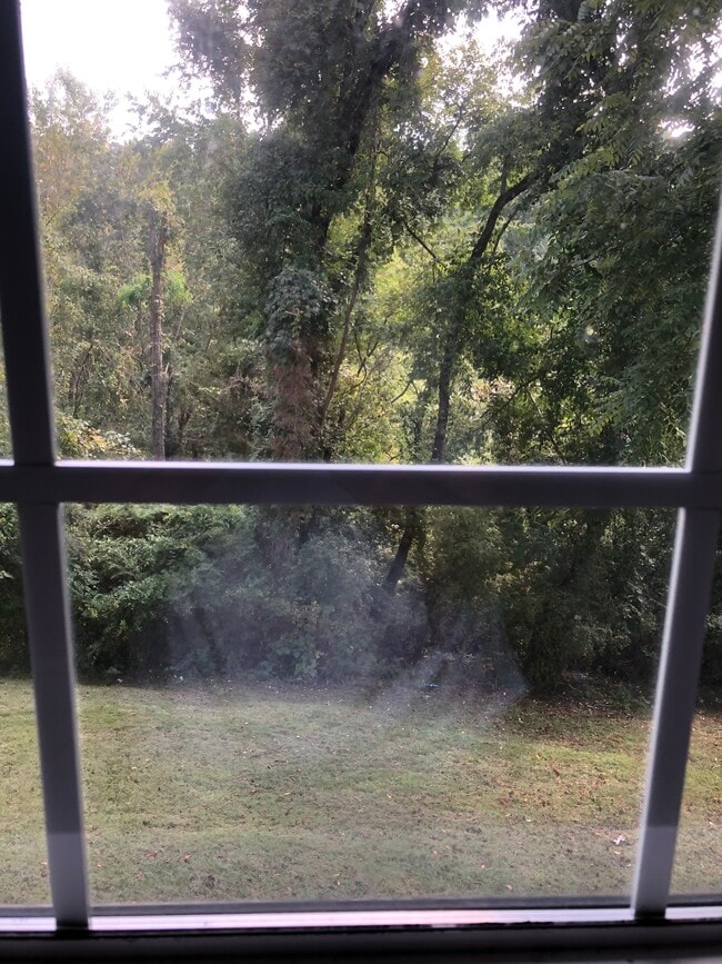 Bath window looking out back - 2114 Oakridge Dr