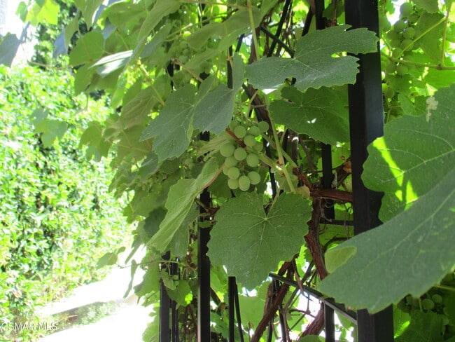 Building Photo - 5042 Llano Dr