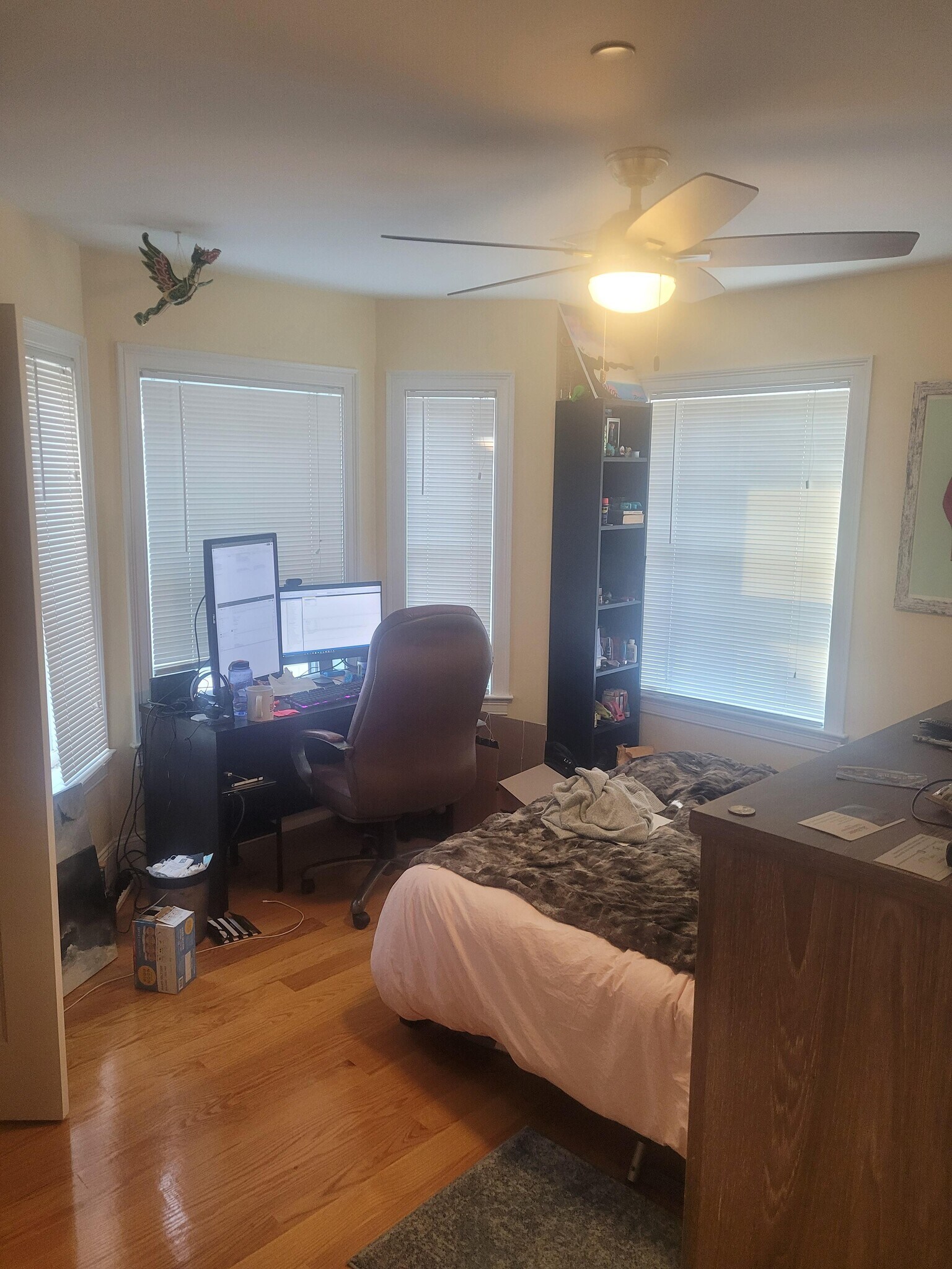 Building Photo - 116 Holland St