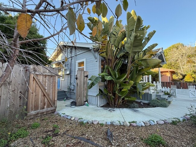 Building Photo - 323 Mountian View Ave