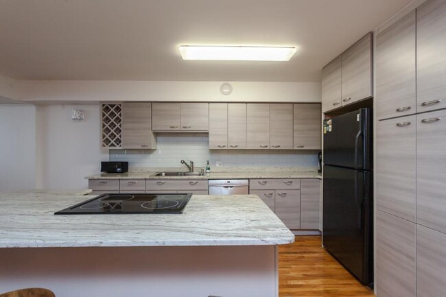 Building Photo - 1 bedroom in Chicago IL 60605