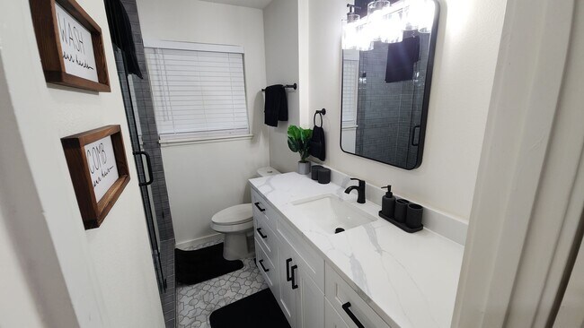 Building Photo - Fully updated 6 bed house!!! 1911 David!