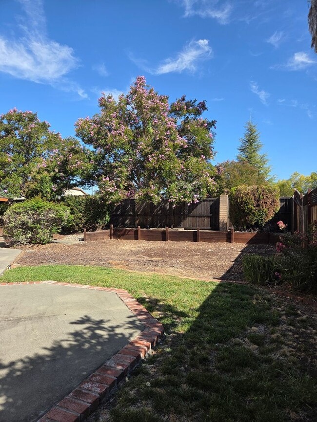 Building Photo - Spacious Laurel Creek Home