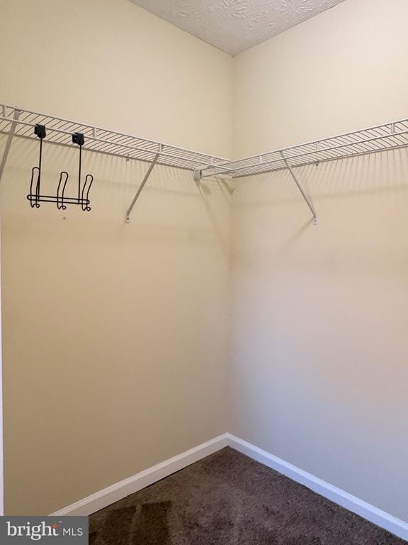 Building Photo - 2120 Commissary Cir