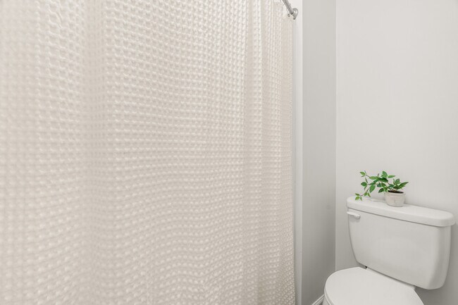 Building Photo - 2221 Mountain Mist Ct