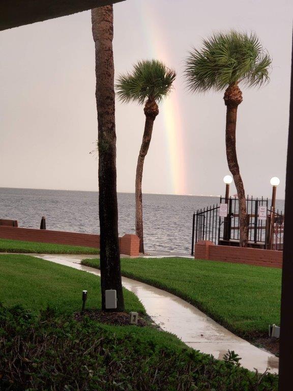 Building Photo - 650 Pinellas Point Dr S