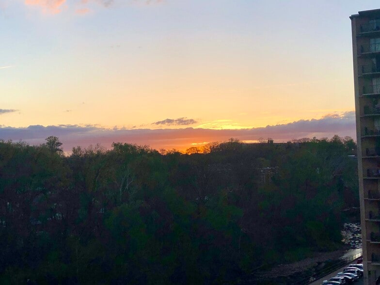 Balcony View - 4500 S Four Mile Run Dr