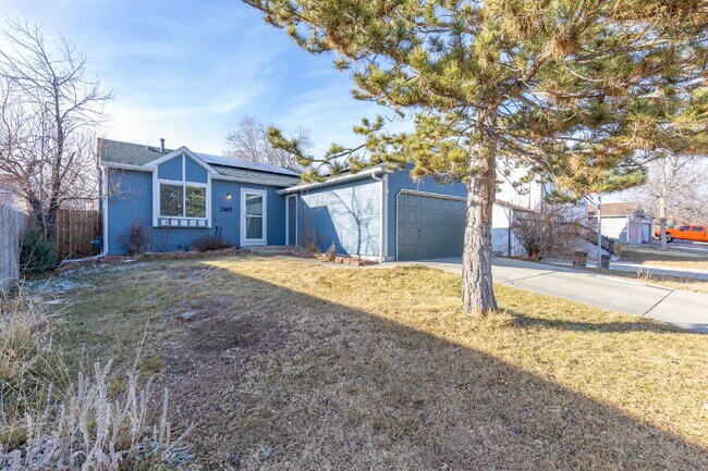 Building Photo - NW Longmont Spacious Tri Level.