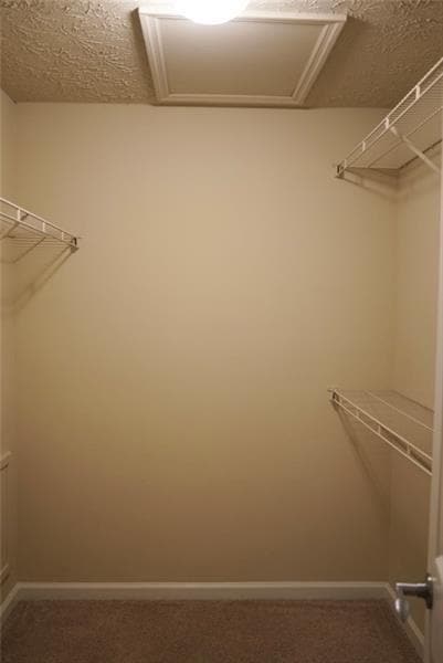 Building Photo - 4001 Riverlook Pkwy SE