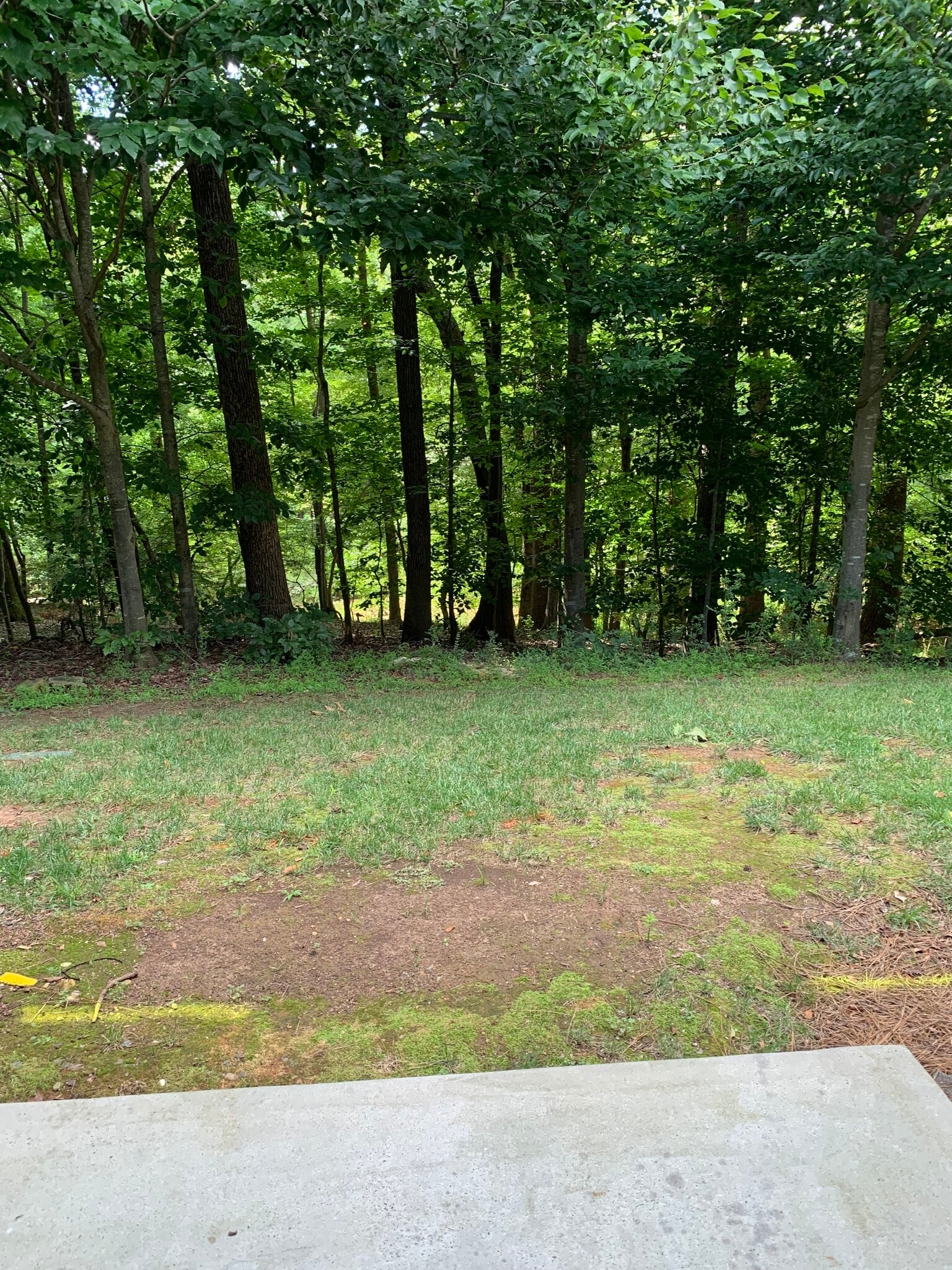 Building Photo - 11619 Stockdale Ct