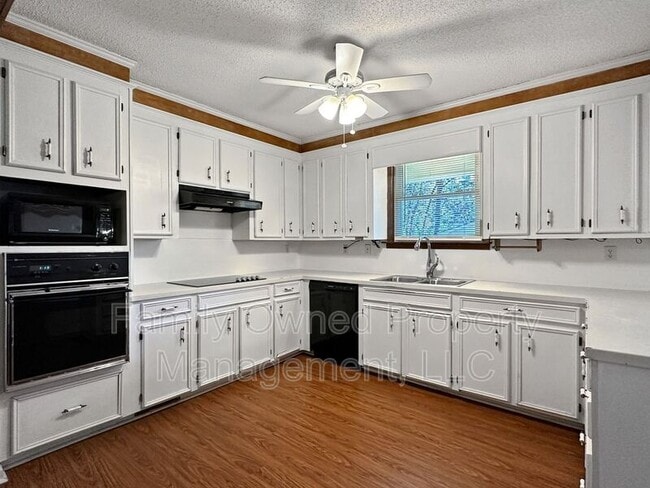 Building Photo - 1123 Belvedere Dr