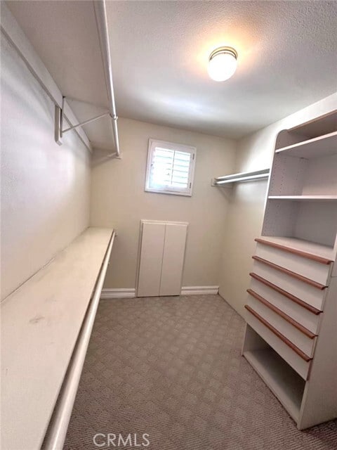 Building Photo - 1126 Highland Oaks Dr