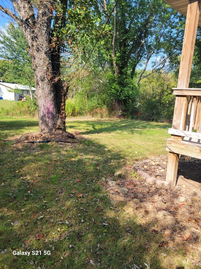 Building Photo - 253 Ivanhoe Ln