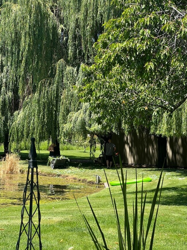 Building Photo - Modern 3 Bedroom Home