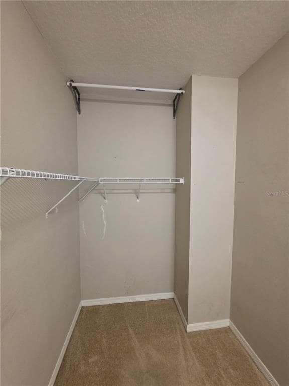 Building Photo - 810 Callista Cay Loop