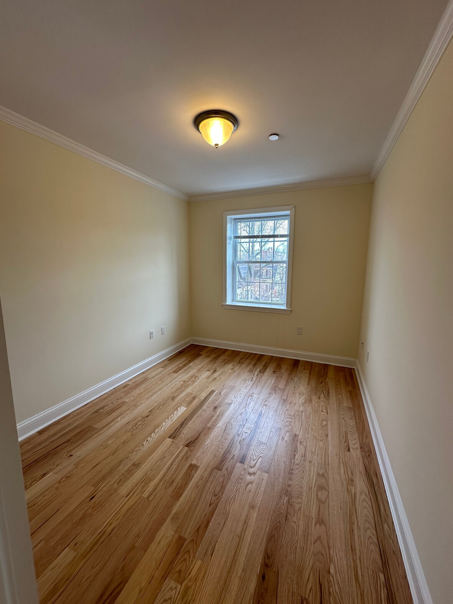 Building Photo - 65 Langdon St