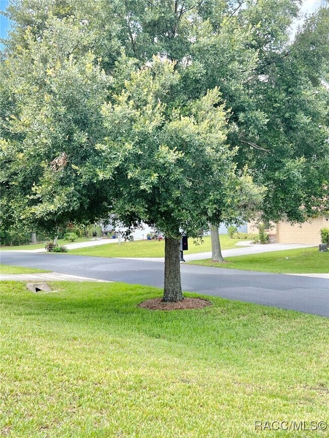 Building Photo - 2395 N Brentwood Cir