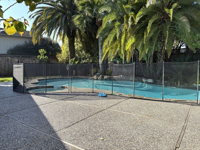 Building Photo - Beautiful Palo Alto Home with In-Law Suite, Central AC & Heated Pool