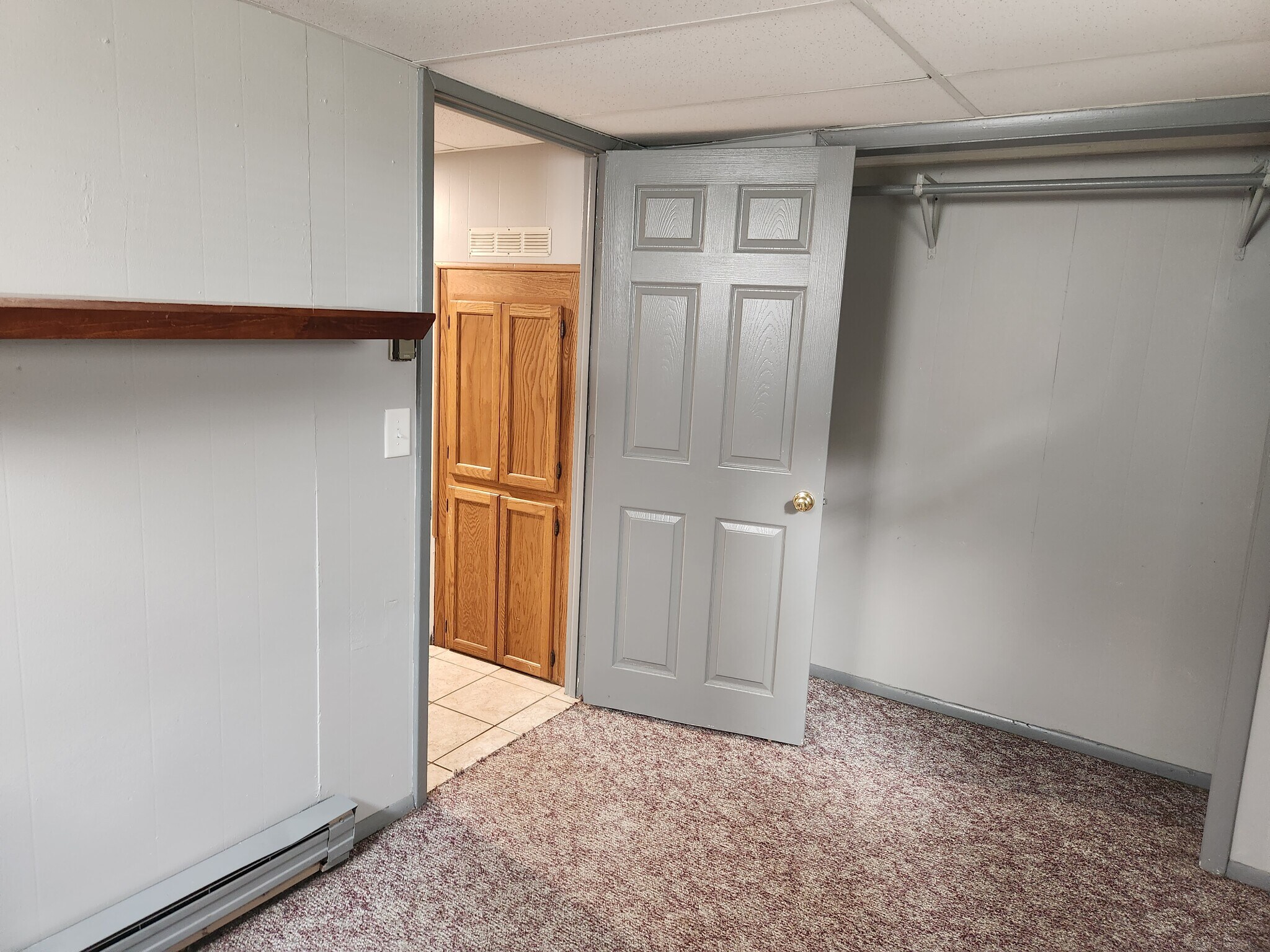 Lower level bedroom or office - 1016 S Franklin St