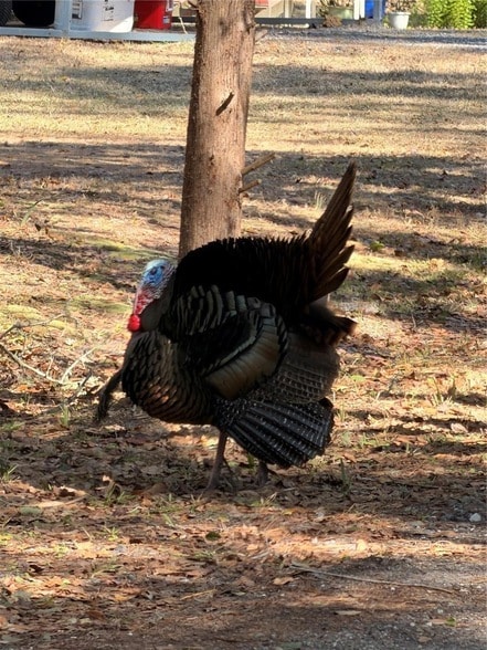 Building Photo - 53706 River Trace Rd