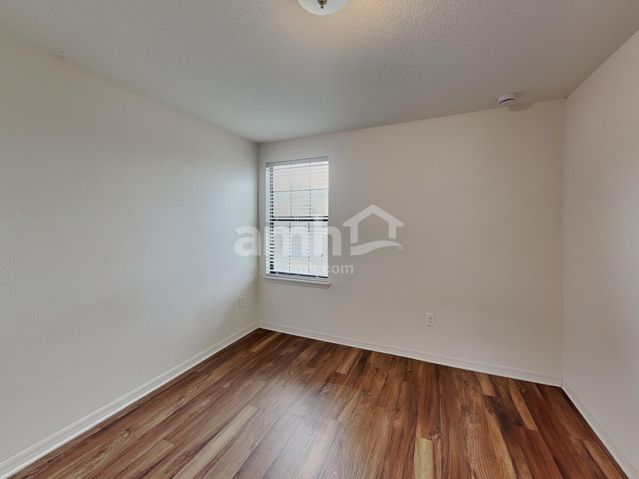 Building Photo - 11621 Winterset Cove Drive