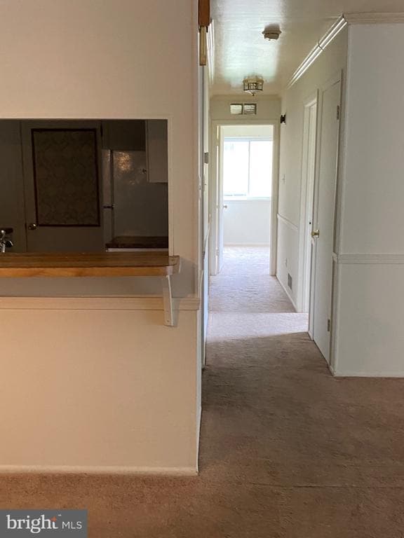 Building Photo - 2715 Adams Ct