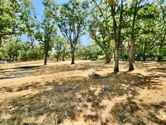 Building Photo - Horse property on 2.8 acres in Ruch with 2...