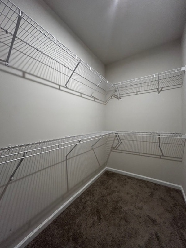 Building Photo - 124 Coppersmith Dr