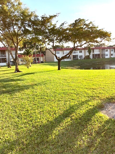 Backyard - 317 Lake Evelyn Dr