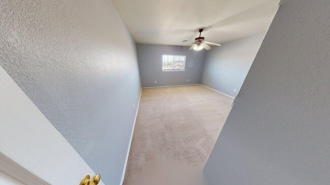 Building Photo - 701 Black Hills Trail