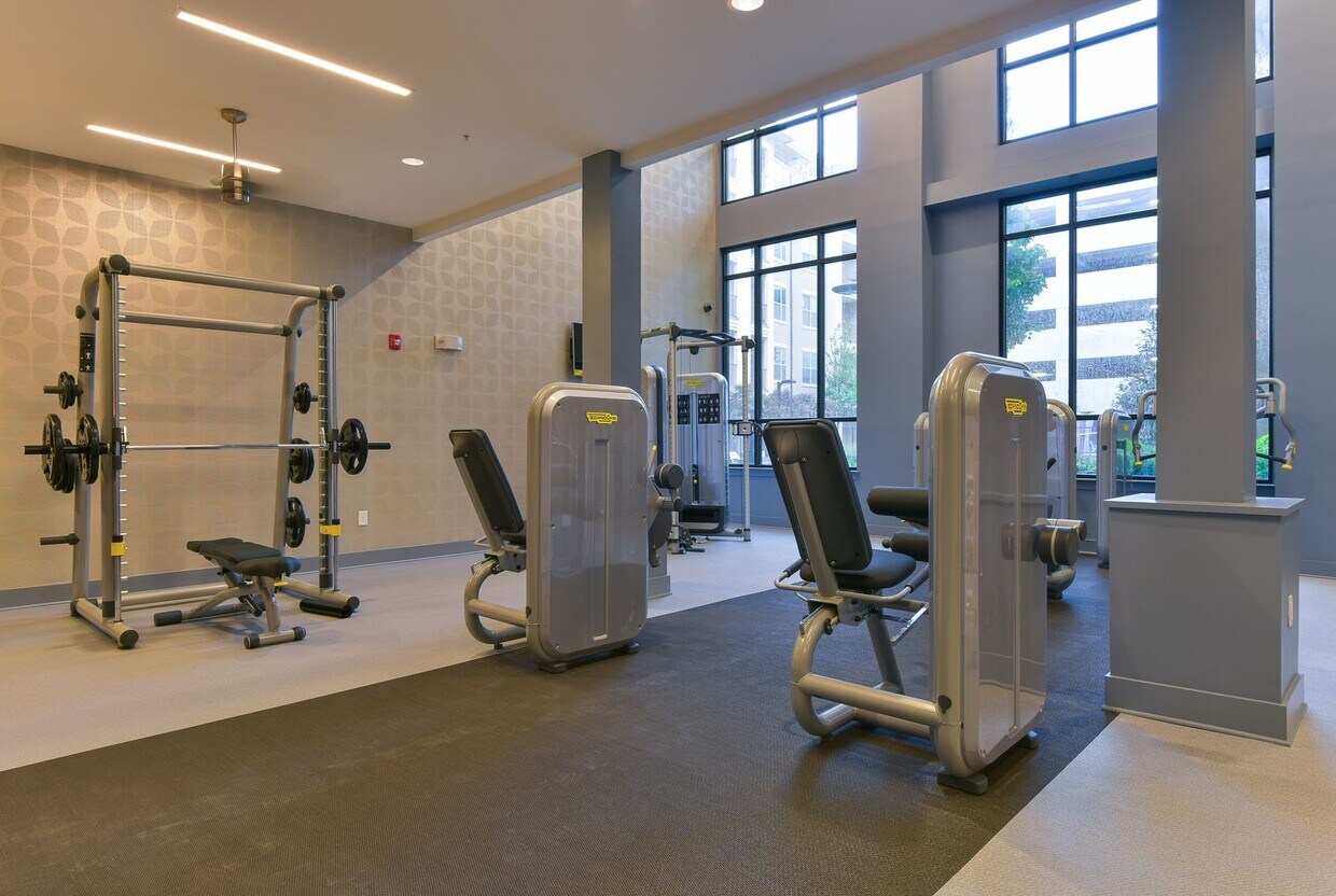 1105 Town Brookhaven Atlanta Ga Apartment Finder