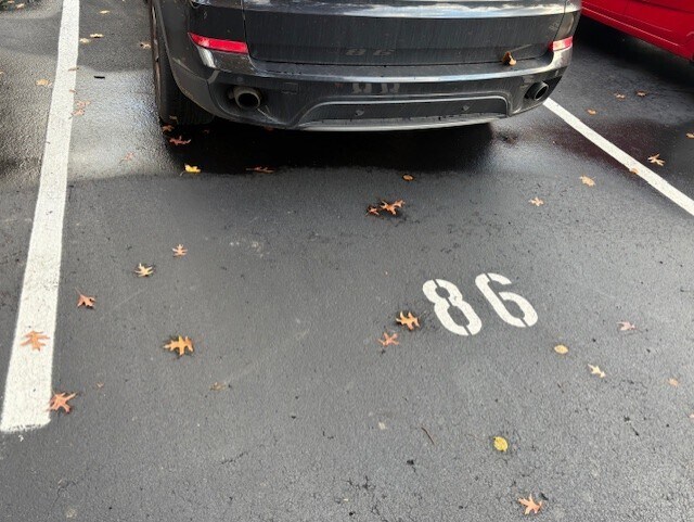 parking spot - 844 Thorn St