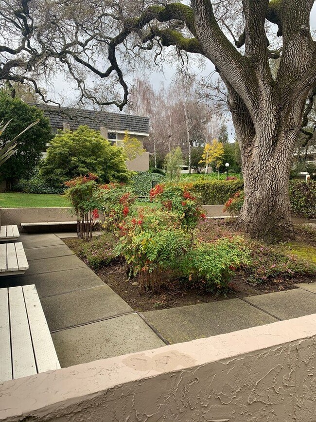 Building Photo - Elegant Remodeled 3BR Condominium in Sharon Heights