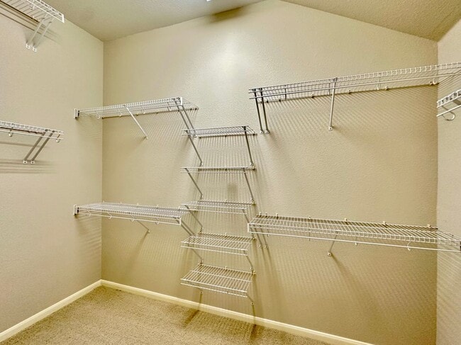 Building Photo - 1501 Santolina Ct