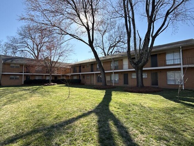 Primary Photo - Apartment near Plaza Midwood