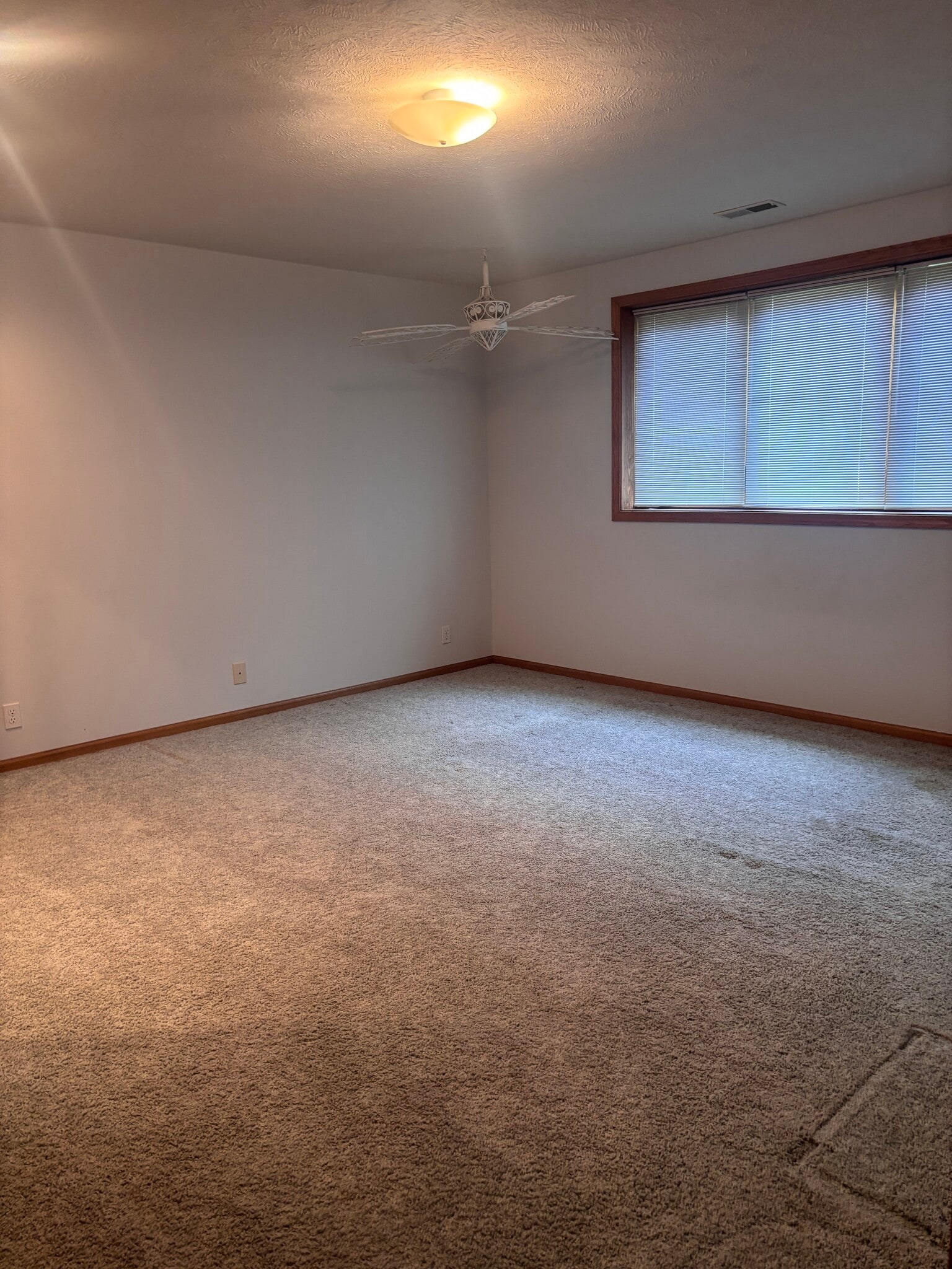 Bedroom in basement - 9134 Pioneer Ct