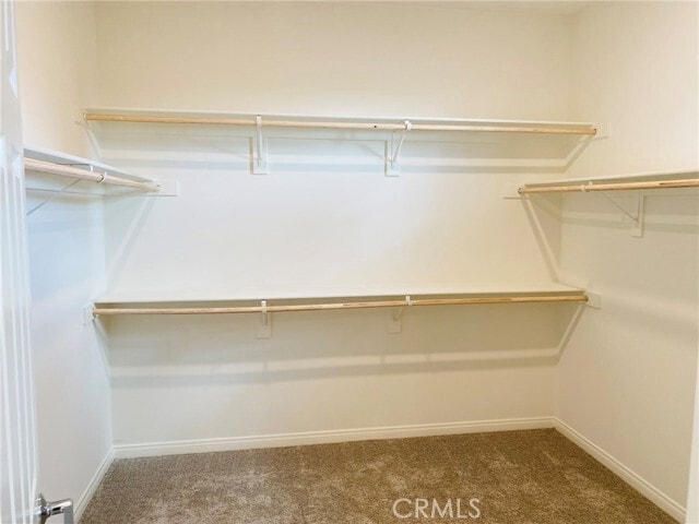 Building Photo - 1449 Laurelwood Dr