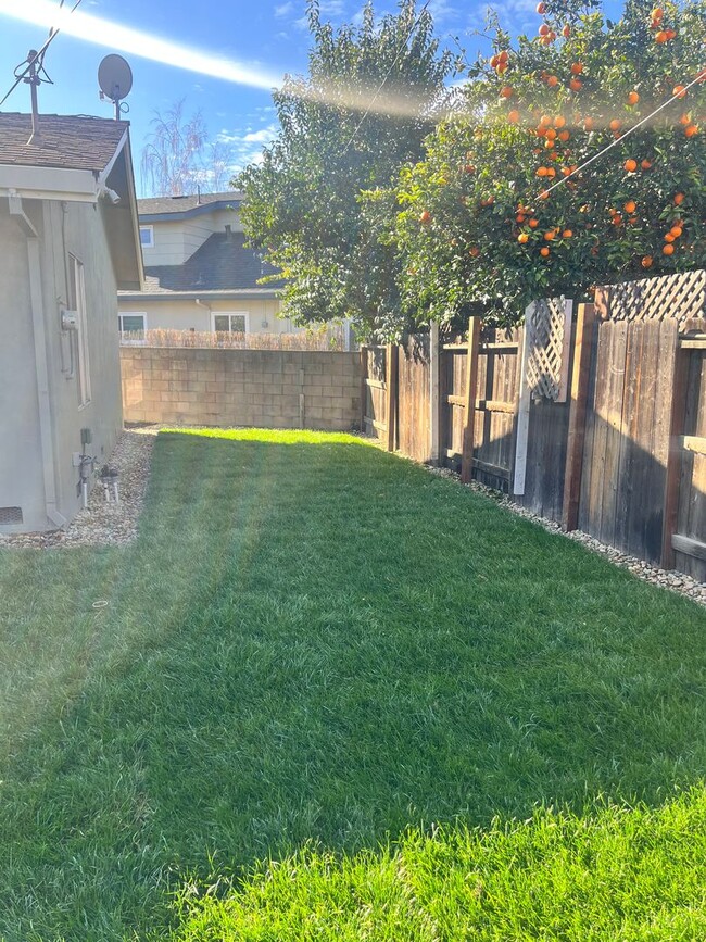 Building Photo - Beautiful newly remodeled home in Tracy