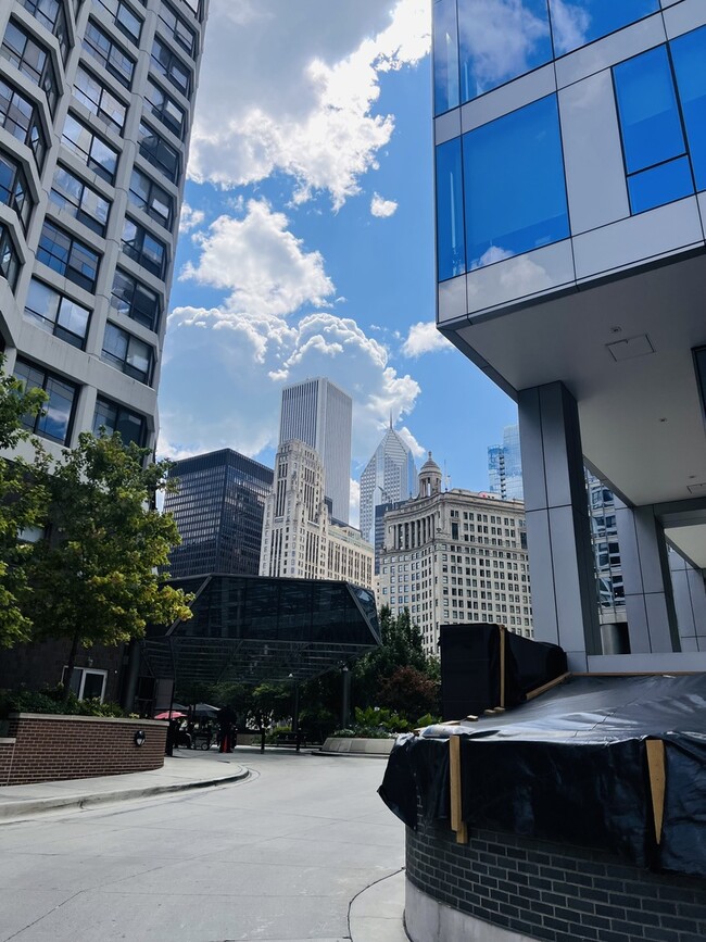 Building Photo - 405 N Wabash Ave