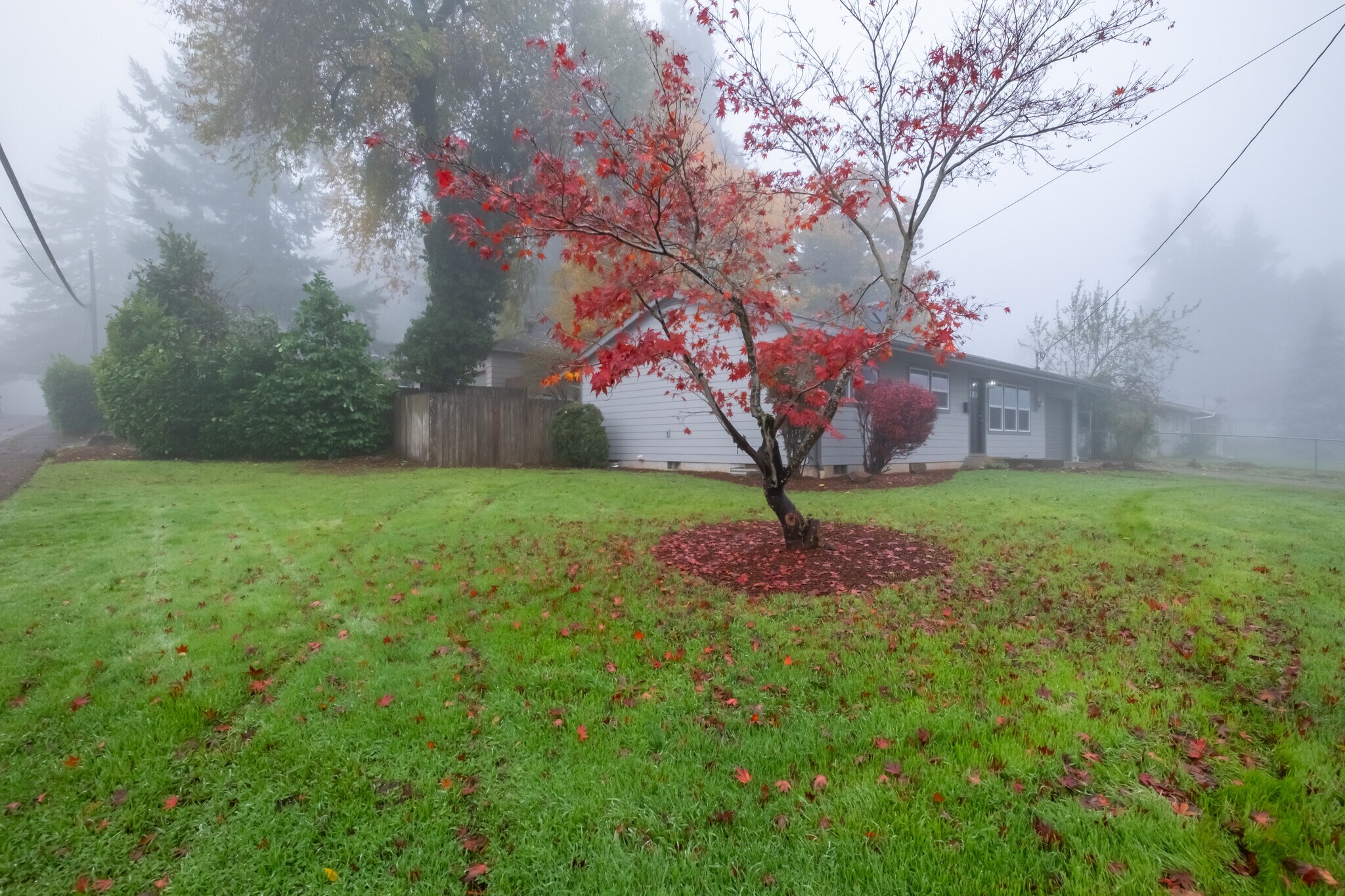 Building Photo - 3497 Felton St S