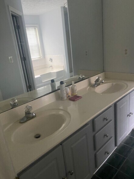 Master Bathroom - 327 Lee Miller Dr