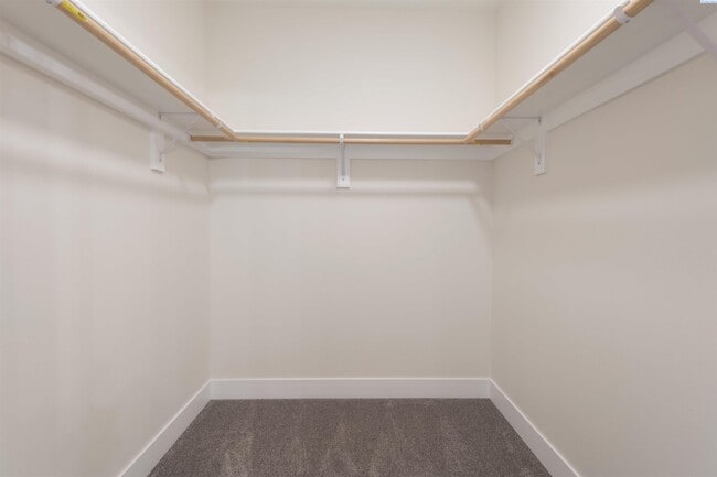 Building Photo - Generational suite w/separate entrance!