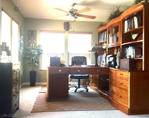 Building Photo - 1135 Paradise Vista Dr