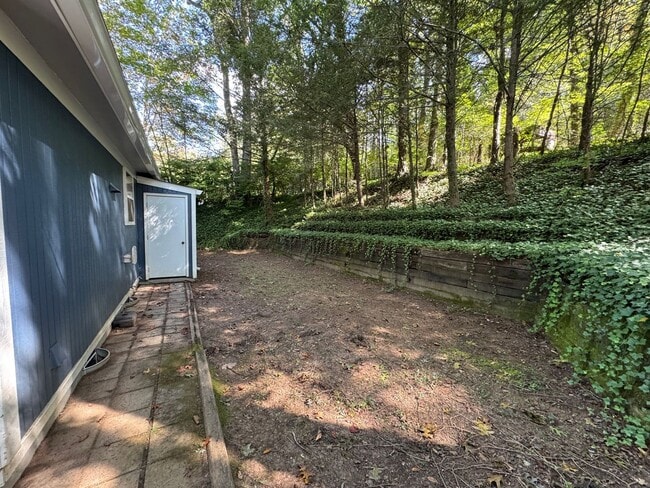 Building Photo - Black Mountain - Newly Renovated 3 Bedroom