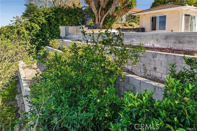 Building Photo - 21 Coveview Dr