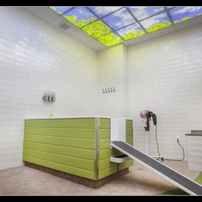 Building Photo - 11221 Synergy Dr