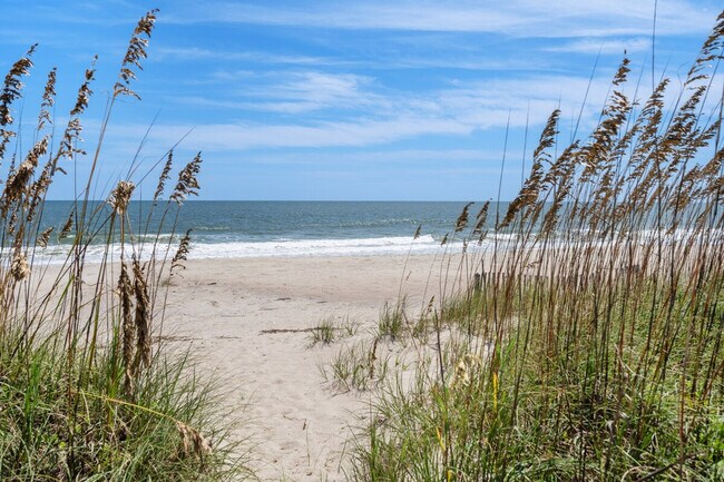 Building Photo - 146 Summer Haven Ct